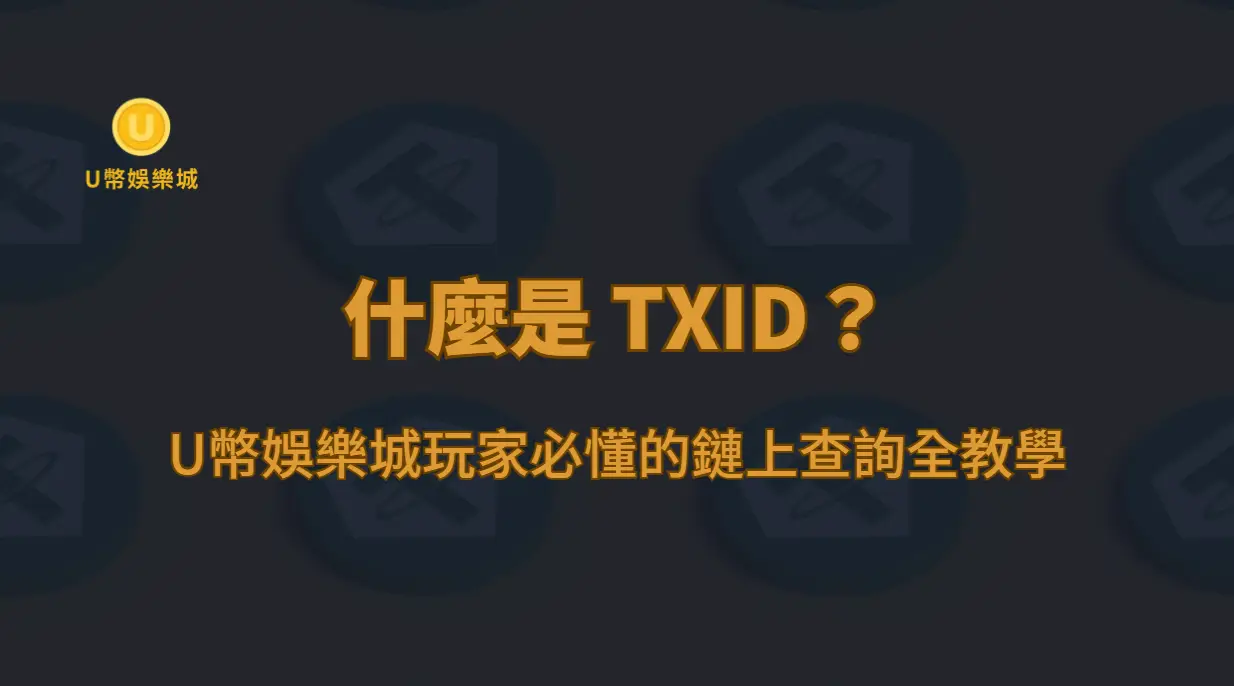 什麼是 TXID？U幣娛樂城玩家必懂的鏈上查詢全教學